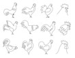 © WinWin - One line roosters. Farm bird silhouette, rooster portrait and hand drawn cock continuous line illustration vector set