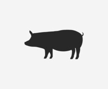 Vector Pig Silhouette. Pig Silhouette Icon Isolated Vector Design And Illustration.
