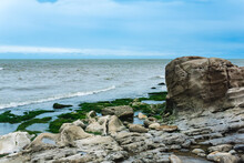 Coast Of The Caspian Sea With Coastal Rocks And Stones Covered With Algae