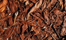 Dry Leaves On The Tropical Forest Ground. Fall And Nature Withering Concept. Nature Background
