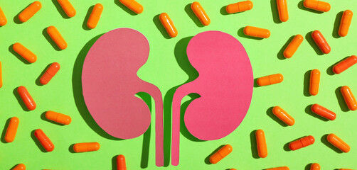 Paper kidneys and many pills on green background