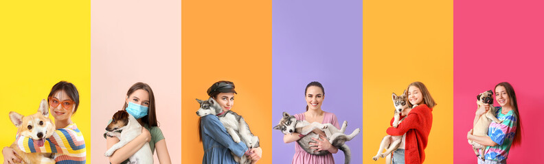 Wall Mural - Set of women with cute dogs on colorful background. Friendship Day