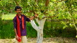 © FireFXStudio - indian farmer with mango tree in the farm
