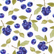 Watercolor seamless pattern hand drawn forest berries - blueberries