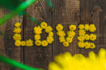 Top view flat lay selective focus through a green petal on a wooden rural background on which the word love is laid out of yellow dandelion flowers, expressing feelings and recognition of love.