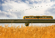 Autumn Background. A Running Yellow Subway With The Sunset Reeds And Birds. Magnetic Levitation Train. 
