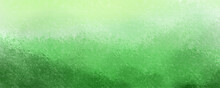 Summer Green Wallpaper Background