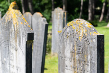 Den Helder, Netherlands, June 2022. Old Dilapidated Graves At The Jewish Cemetery In Den Helder.