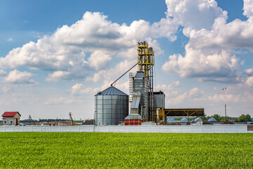 Wall Mural - agro silos granary elevator on agro-processing manufacturing plant for processing drying cleaning and storage of agricultural products, flour, cereals and grain.