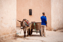 Hombre, Burro Y Carro. Oficios Tradicionales. Estampa Costumbrista En Marrakech (Marruecos).