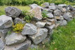 © Heiner Witthake - garden,dry wall,garten,trockenmauer