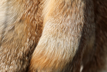 Sticker - Animal fur as a background.