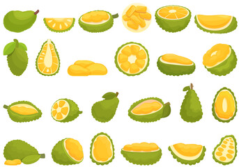 Wall Mural - Jackfruit icons set cartoon vector. Vegan fruit. Tropical peeled