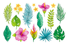 Tropic Flowers, Leaves Watercolor Vector. Tropics Leaf And Hibiscus Plant Sticker. Simple Tropical Palm. Jungle Flat Floral Hawaiian Logo. Spa Vector For Hawaii Bali Brazil. Isolated Exotic Abstract