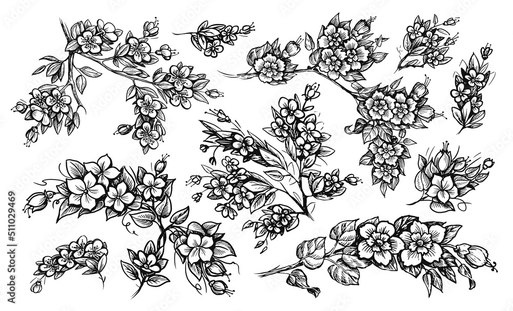 Flower branches hand drawn sketch. Elegant floral pattern for frame ...