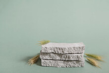 Product Podium And Grungy Concrete Stone, Dry Bent Plant In Foreground. Minimal Background Green Color For Cosmetics Or Products Presentation. Front View.