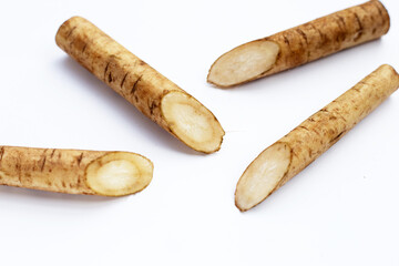 Poster - Burdock Root (Gobo) on white background.