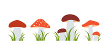 Set Of Organic Porcini And  Poisonous Fungus. Cep, Amanita, Boletus. Forest Wild Mushrooms. Isolated Flat Vector Illustration. 