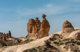 Fototapeta Sawanna - Unique fairy chimneys, volcanic rock formations like camel at Devrent Imagination Valley, Cappadocia, Turkey. Noisy and grainy texture.