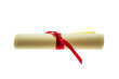 Degree scroll with red ribbon isolated on white. College paper certificate roll, University studies