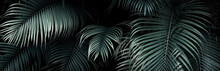 Tropical Foliage Green Dark Background