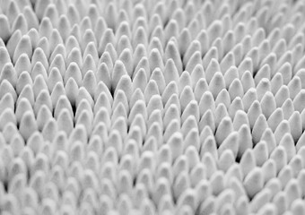 Wall Mural - Black and white color Cotton buds on white background.