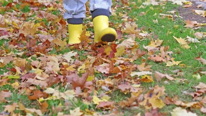 Wall Mural - slow motion video with yellow boots walking in autumn leaves