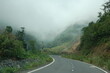 © Houston - Clouds descended on the road passing through the jungle in the mountains.