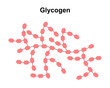 Scientific Designing of Glycogen Structure. Colorful Symbols. Vector Illustration.