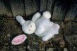 stuffed white bunny lying destroyed on the floor