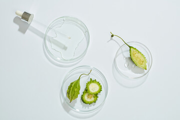 Top view of bittermelon in transparent  petri dish and green leaf with blank space white background 