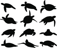 Set Of Silhouettes Of Sea Turtles