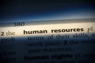 Wall Mural - human resources