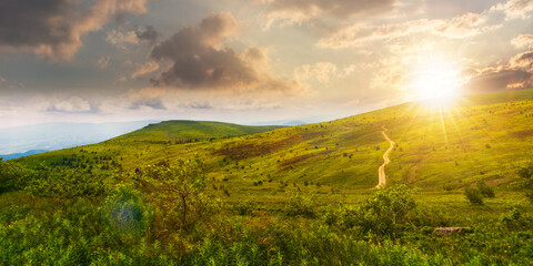 Wall Mural - carpathian mountain landscape in summer at sunset. dirt road and hiking trail track. panoramic view 