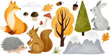 Set Of Watercolor Forest Animal Clipart. Fox, Squirrel, Hedgehog, Owl. Autumn With Falling Leaves And Mushrooms