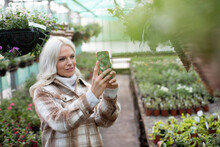 Woman With Camera Phone Photographing Hanging Basket In Garden Shop