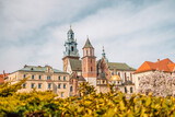 Fototapeta Góry - Summer view of Wawel Royal Castle complex in Krakow Tourist attraction of Poland