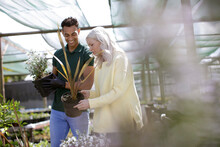 Plant Nursery Worker Helping Customer With Plants In Greenhouse