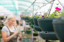 Female Garden Shop Owner With Clipboard At Hanging Baskets