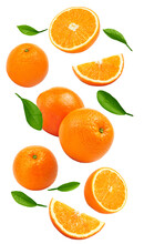 Flying Orange Fruits Isolated On White Background. Clipping Path