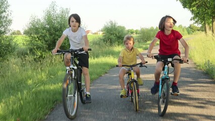 Sticker - Cute happy children, brothers, riding bikes in the park on a sunny summer day, talking and laughing