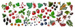 Food vector berries. Colored sketch of food products. Black currant, red currant, wild strawberry, wild strawberry, rosehip flowers, cherry, mountain ash, sea buckthorn, gooseberry