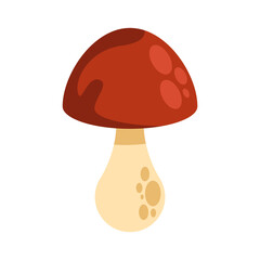 Poster - autumn fungus plant seasonal