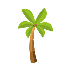 Sticker - tropical tree palm