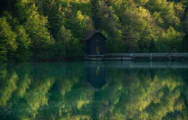 Wall Mural - Spring by the lake in Zavrsnica valley