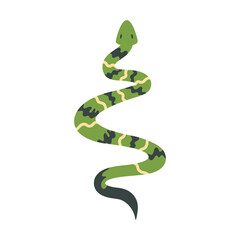 Wall Mural - green snake animal wild