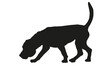 Black dog silhouette. Walking and snifiing english beagle puppy. Pet animals. Isolated on a white background.