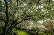 Arboretum and Botanical Garden in Spring, Moscow, Idaho