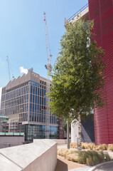 Wall Mural - British council - HE & Science team,1 Redman Place, Stratford, London, E20 1JQ, London,  England, June 13, 2022