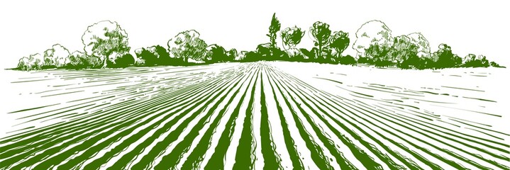 Wall Mural - Vector farm field landscape. Furrows pattern in a plowed prepared for crops planting. Vintage realistic engraving sketch illustration.